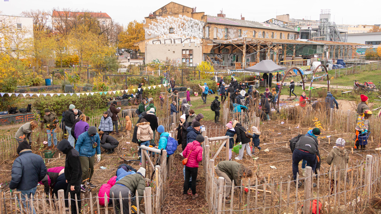 Viele Aktive sind im Moabiter Stadtgarten gerade dabei viele Setzlinge für den Tiny Forest einzupflanzen